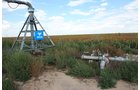 Property photo 23 - LAND AUCTION, 3255+/- Acres offered in 13 Tracts